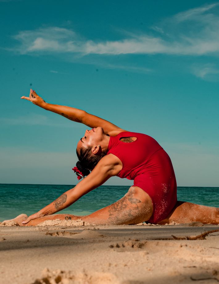 Daria Leotard Dragonfly